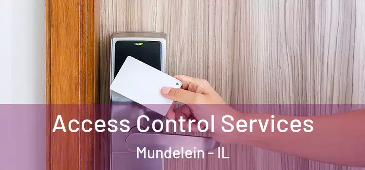  Access Control Services Mundelein - IL