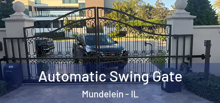  Automatic Swing Gate Mundelein - IL