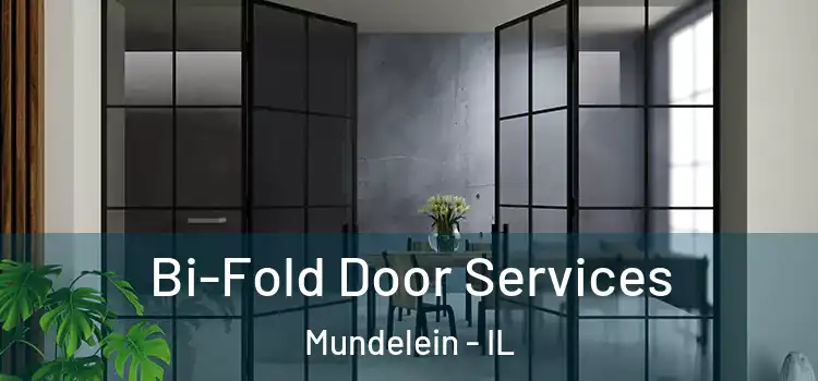  Bi-Fold Door Services Mundelein - IL