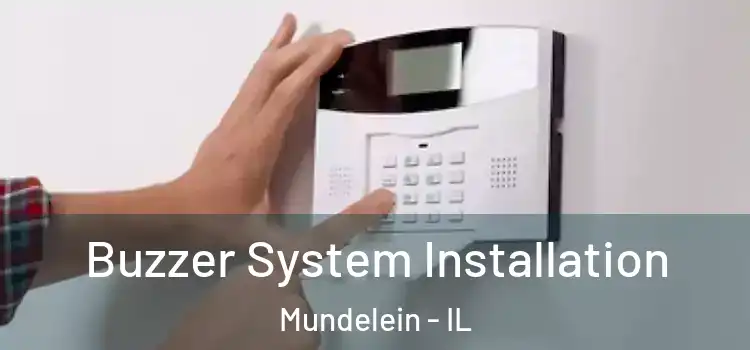  Buzzer System Installation Mundelein - IL