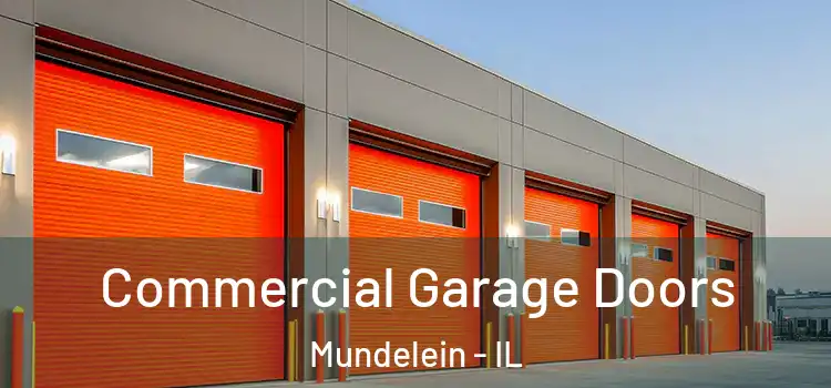  Commercial Garage Doors Mundelein - IL