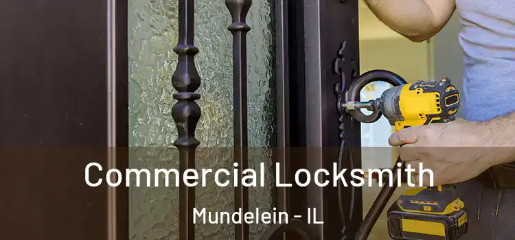  Commercial Locksmith Mundelein - IL