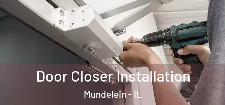  Door Closer Installation Mundelein - IL