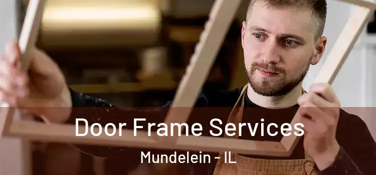 Door Frame Services Mundelein - IL