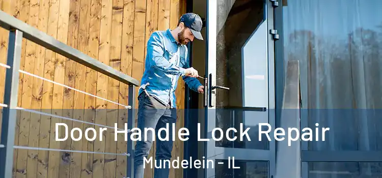  Door Handle Lock Repair Mundelein - IL