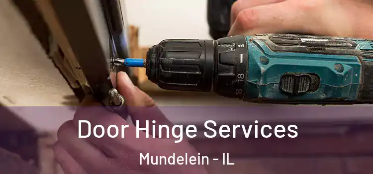 Door Hinge Services Mundelein - IL
