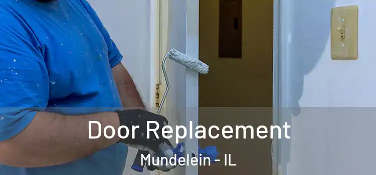 Door Replacement Mundelein - IL