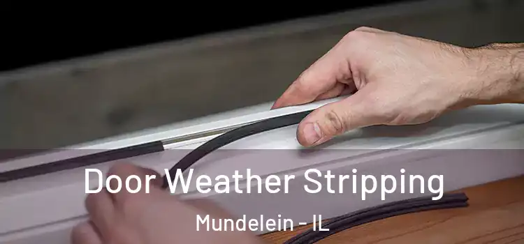  Door Weather Stripping Mundelein - IL