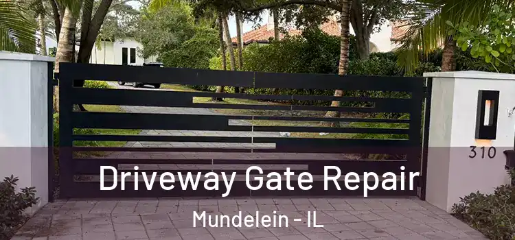  Driveway Gate Repair Mundelein - IL