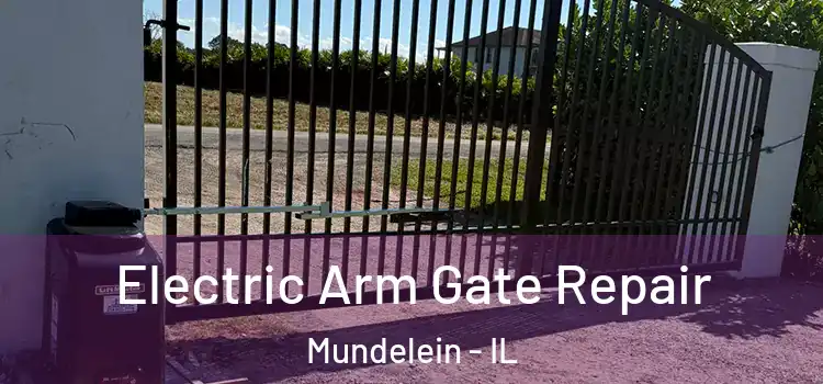  Electric Arm Gate Repair Mundelein - IL