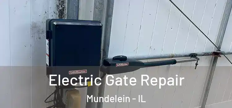  Electric Gate Repair Mundelein - IL