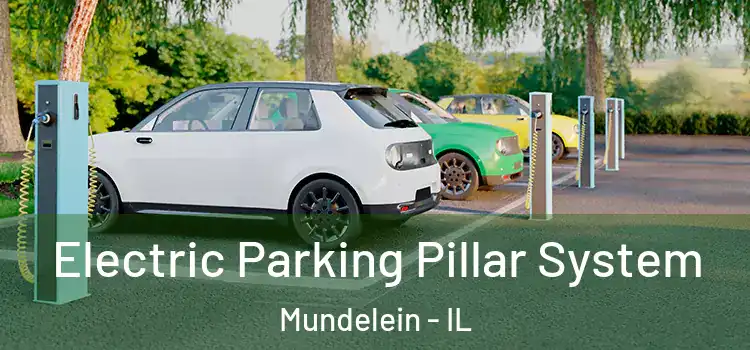  Electric Parking Pillar System Mundelein - IL