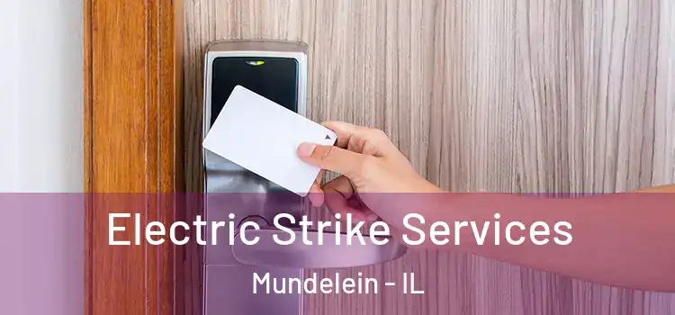  Electric Strike Services Mundelein - IL