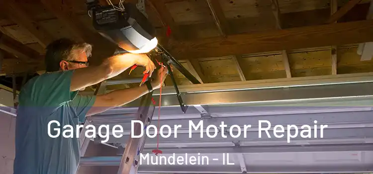  Garage Door Motor Repair Mundelein - IL