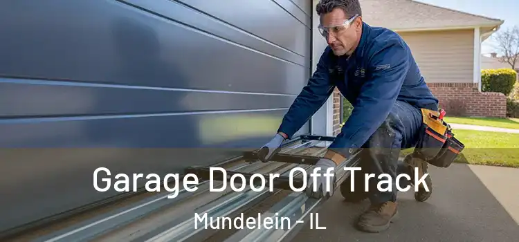  Garage Door Off Track Mundelein - IL