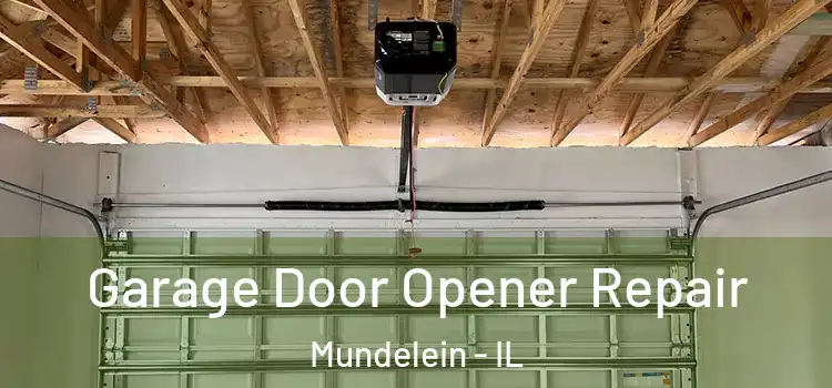  Garage Door Opener Repair Mundelein - IL