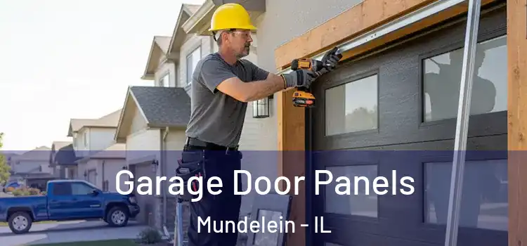  Garage Door Panels Mundelein - IL