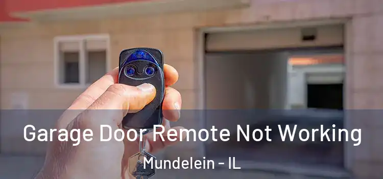  Garage Door Remote Not Working Mundelein - IL