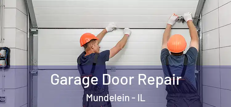  Garage Door Repair Mundelein - IL