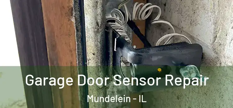  Garage Door Sensor Repair Mundelein - IL