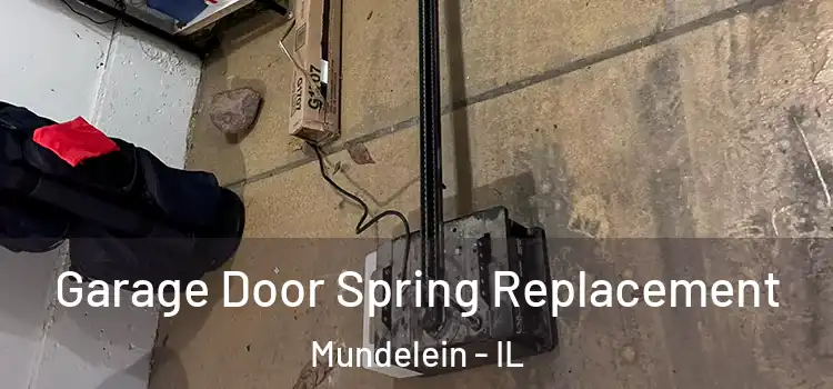  Garage Door Spring Replacement Mundelein - IL