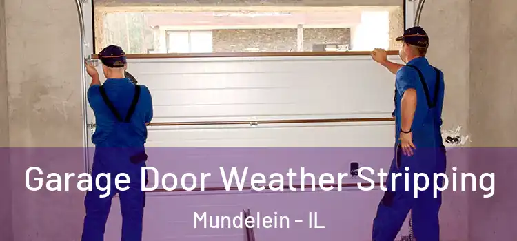  Garage Door Weather Stripping Mundelein - IL