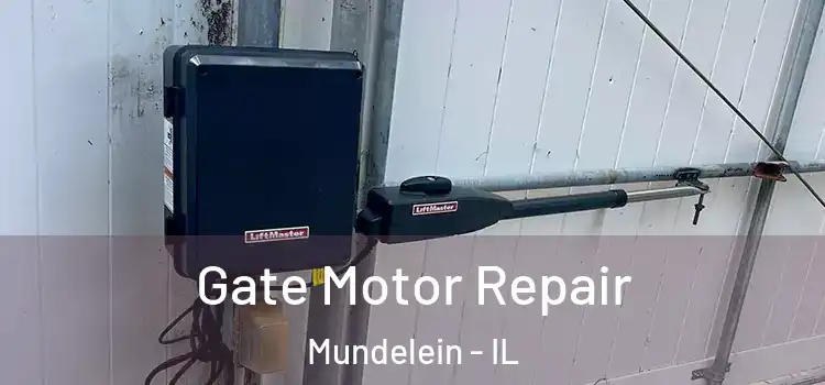 Gate Motor Repair Mundelein - IL