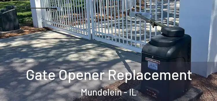 Gate Opener Replacement Mundelein - IL