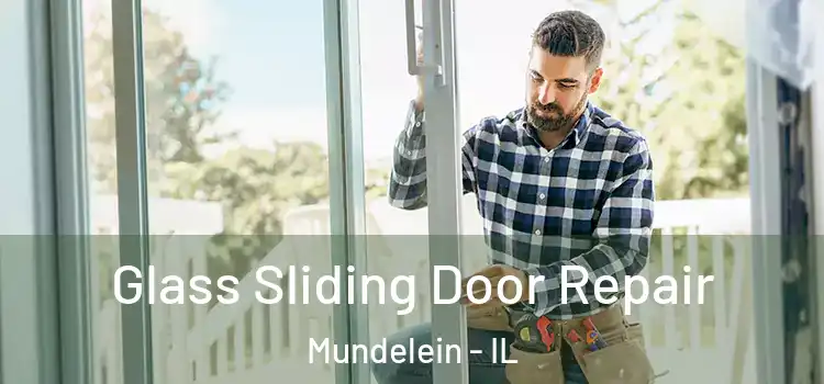 Glass Sliding Door Repair Mundelein - IL
