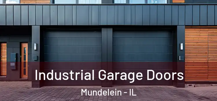  Industrial Garage Doors Mundelein - IL