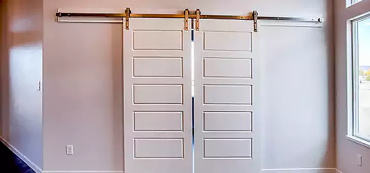 Glass Barn Door with Installation Hardware Kit Mundelein