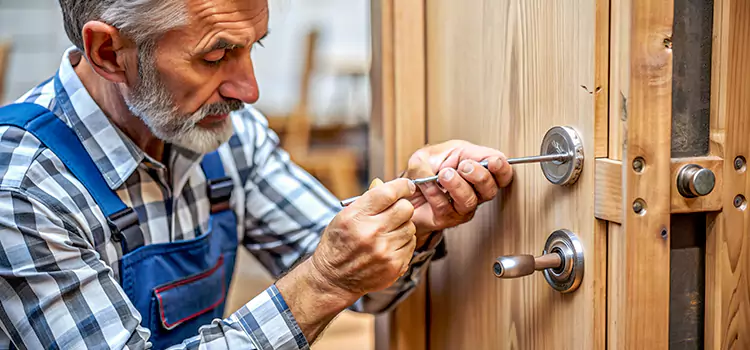 Mortise Replacement Lock Mundelein