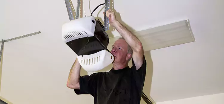 Garage Door Opener Service Mundelein