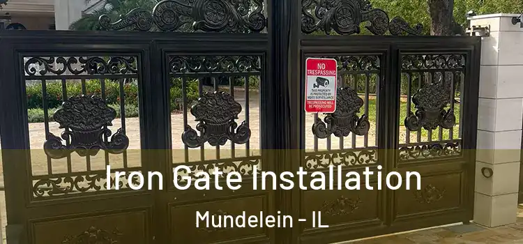  Iron Gate Installation Mundelein - IL
