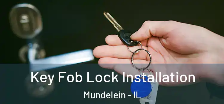  Key Fob Lock Installation Mundelein - IL
