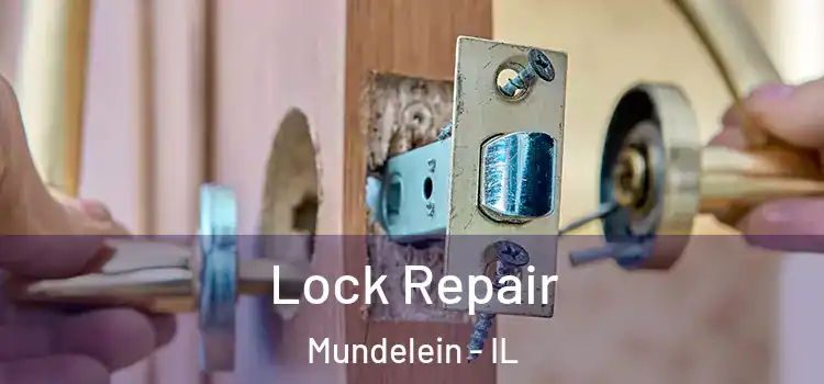  Lock Repair Mundelein - IL