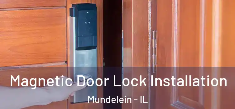  Magnetic Door Lock Installation Mundelein - IL