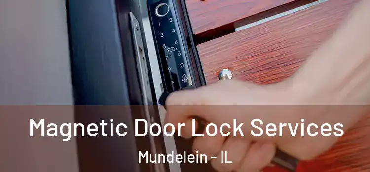 Magnetic Door Lock Services Mundelein - IL