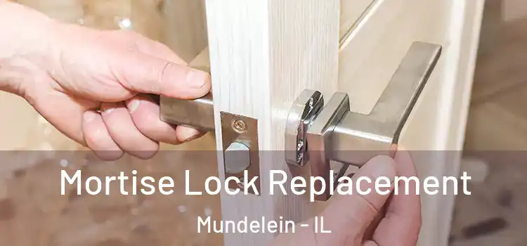 Mortise Lock Replacement Mundelein - IL