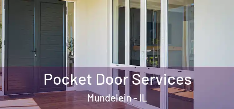  Pocket Door Services Mundelein - IL
