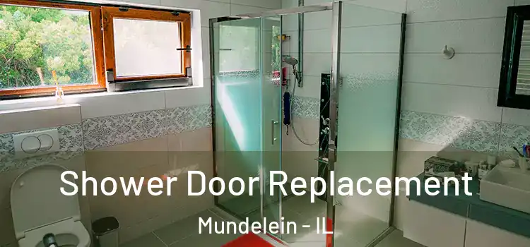  Shower Door Replacement Mundelein - IL