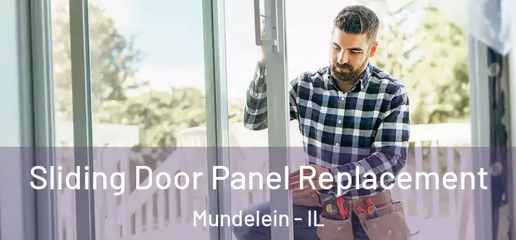  Sliding Door Panel Replacement Mundelein - IL