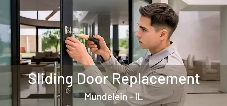  Sliding Door Replacement Mundelein - IL