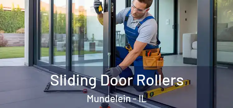 Sliding Door Rollers Mundelein - IL
