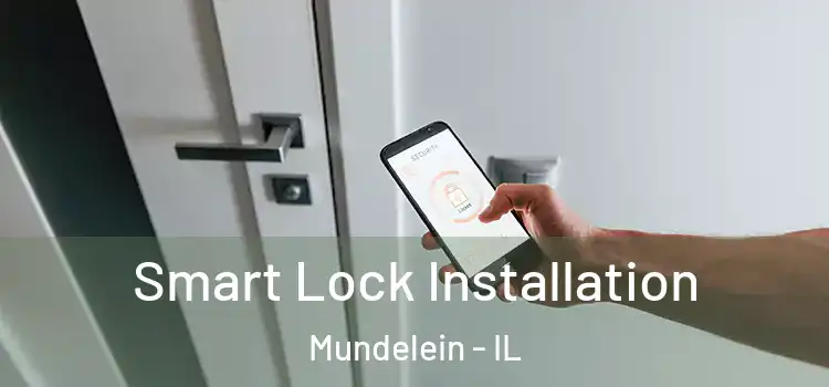 Smart Lock Installation Mundelein - IL