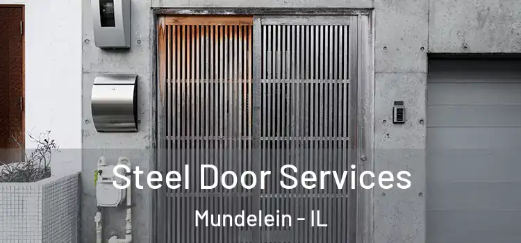  Steel Door Services Mundelein - IL