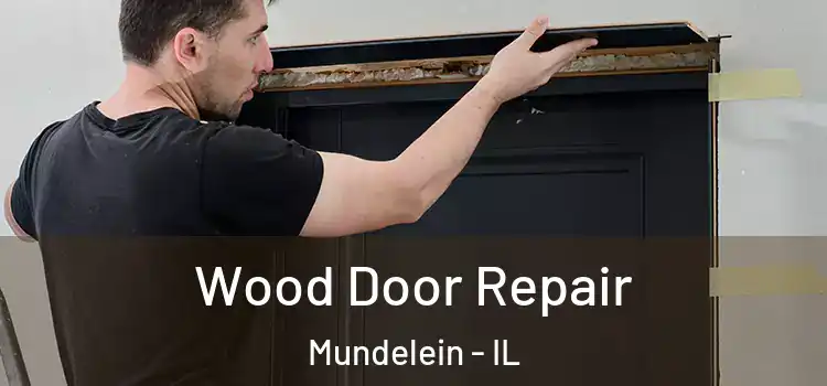  Wood Door Repair Mundelein - IL